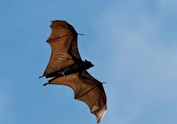 包含绻d5啃啝籃司榱v賫櫲Mz|蕡?{楧@=S焁??鳺6脫v?r?斿%蹴鞭f嘳夗-|Z|?もr叟醘撅?玔9t{?M褥歇.M硒澿@的词条